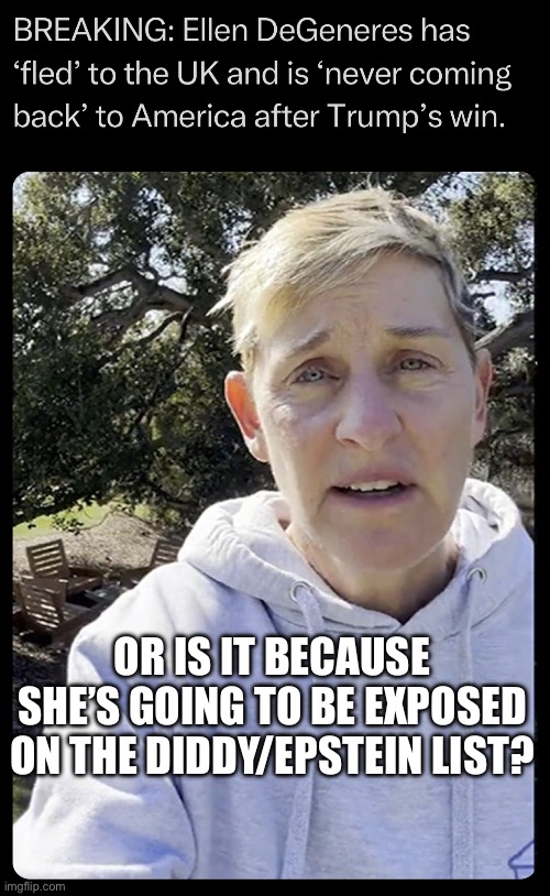 Extradition anyone? Anyone? | OR IS IT BECAUSE SHE’S GOING TO BE EXPOSED ON THE DIDDY/EPSTEIN LIST? | image tagged in jeffrey epstein,diddy,ellen degeneres | made w/ Imgflip meme maker