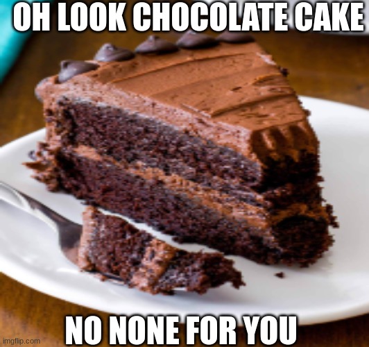 OH LOOK CHOCOLATE CAKE; NO NONE FOR YOU | made w/ Imgflip meme maker