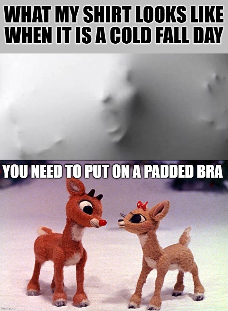 Nippy out | WHAT MY SHIRT LOOKS LIKE WHEN IT IS A COLD FALL DAY; YOU NEED TO PUT ON A PADDED BRA | image tagged in baby it's cold outside | made w/ Imgflip meme maker