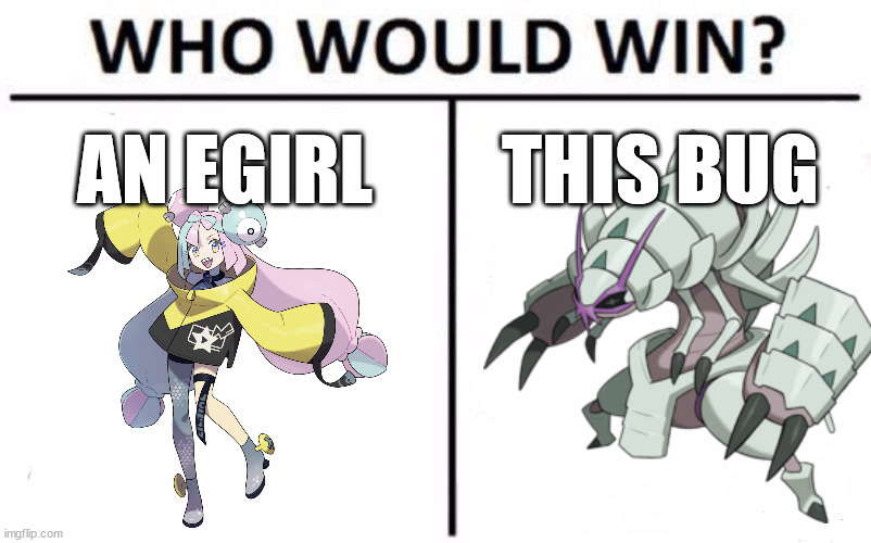 Who Would Win? | AN EGIRL; THIS BUG | image tagged in memes,who would win | made w/ Imgflip meme maker