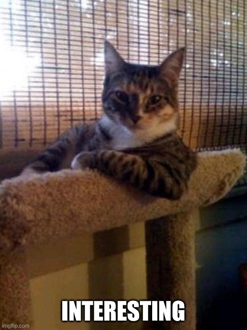 The Most Interesting Cat In The World Meme | INTERESTING | image tagged in memes,the most interesting cat in the world | made w/ Imgflip meme maker
