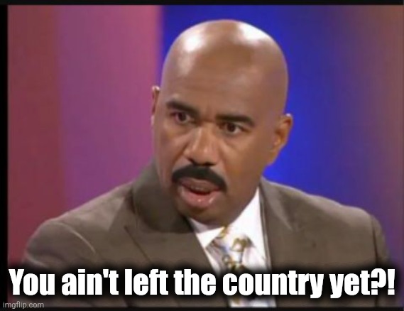 Steve Harvey that face when | You ain't left the country yet?! | image tagged in steve harvey that face when | made w/ Imgflip meme maker