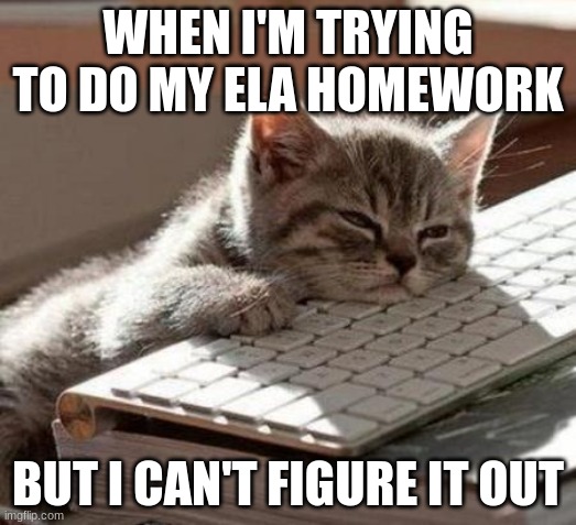 ELA homework is DEAD to me | WHEN I'M TRYING TO DO MY ELA HOMEWORK; BUT I CAN'T FIGURE IT OUT | image tagged in tired cat,funny cats,cats,tired | made w/ Imgflip meme maker