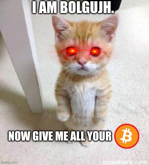 Cute Cat | I AM BOLGUJH. NOW GIVE ME ALL YOUR | image tagged in memes,cute cat | made w/ Imgflip meme maker