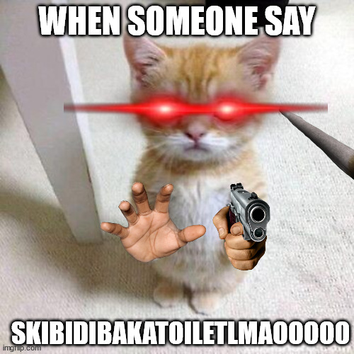 WHEN SOMEONE SAY; SKIBIDIBAKATOILETLMAOOOOO | image tagged in cat,reference,ayy lmao | made w/ Imgflip meme maker