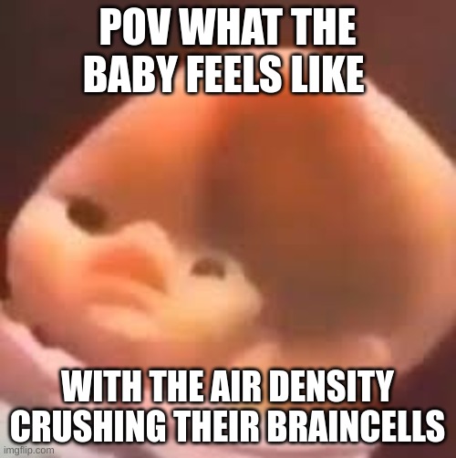 POV WHAT THE BABY FEELS LIKE WITH THE AIR DENSITY CRUSHING THEIR BRAINCELLS | made w/ Imgflip meme maker