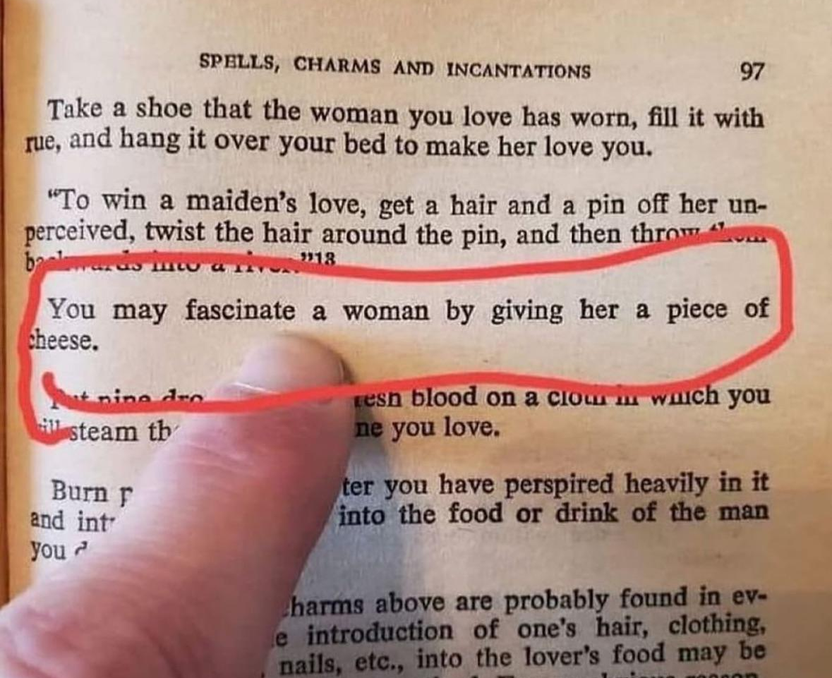 you may fascinate women by giving her a piece of cheese Blank Meme Template