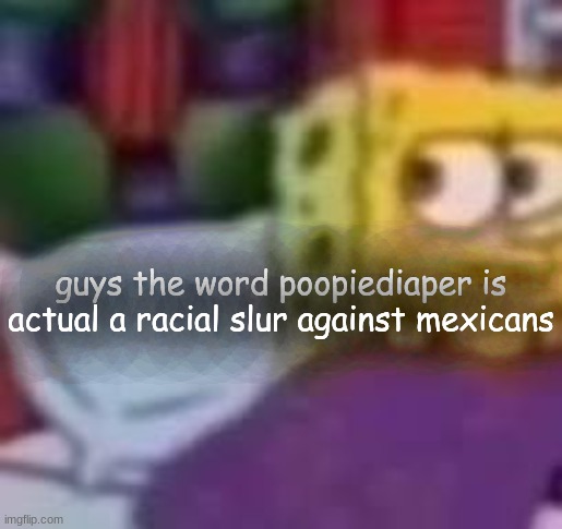 dude. | guys the word poopiediaper is actual a racial slur against mexicans | image tagged in dude | made w/ Imgflip meme maker