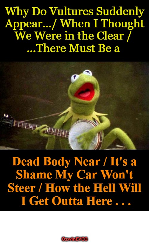 KFHT5ish | Why Do Vultures Suddenly 

 Appear.../ When I Thought 

We Were in the Clear / 

...There Must Be a; Dead Body Near / It's a 

Shame My Car Won't 

Steer / How the Hell Will 

I Get Outta Here . . . OzwinEVCG | image tagged in why kermit banjo,dark,awkward,signs,scenarios,unsolved mysteries | made w/ Imgflip meme maker