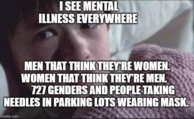 I See Dead People | I SEE MENTAL ILLNESS EVERYWHERE; MEN THAT THINK THEY'RE WOMEN. WOMEN THAT THINK THEY'RE MEN.          727 GENDERS AND PEOPLE TAKING NEEDLES IN PARKING LOTS WEARING MASK. | image tagged in memes,i see dead people | made w/ Imgflip meme maker