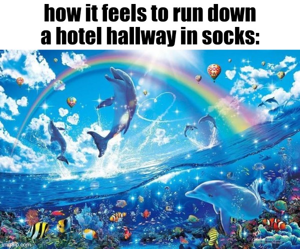 Happy dolphin rainbow | how it feels to run down a hotel hallway in socks: | image tagged in happy dolphin rainbow | made w/ Imgflip meme maker