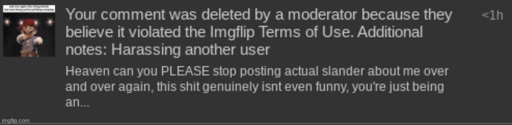 that was a fucking copypasta and you give me an 8 hour ban. wild | made w/ Imgflip meme maker