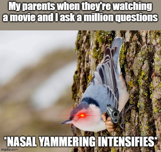 They get so mad! | My parents when they're watching a movie and I ask a million questions | image tagged in nasal yammering intensifies | made w/ Imgflip meme maker