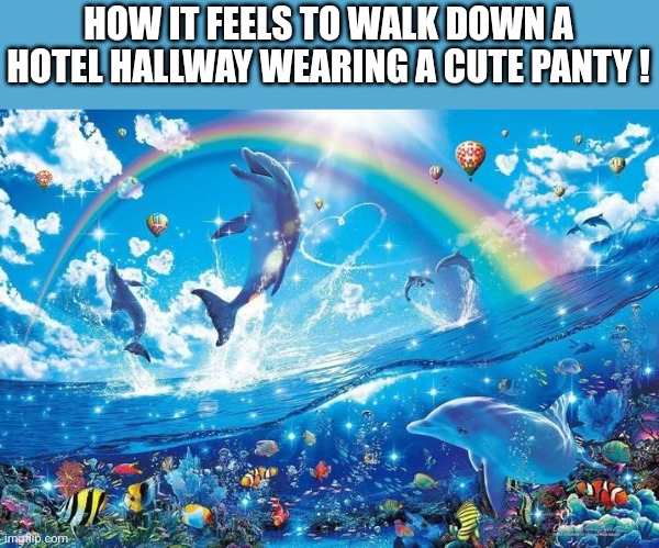 That feeling when... | HOW IT FEELS TO WALK DOWN A HOTEL HALLWAY WEARING A CUTE PANTY ! | image tagged in happy dolphin rainbow | made w/ Imgflip meme maker