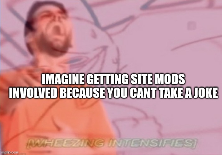 imagine (you know who you are) | IMAGINE GETTING SITE MODS INVOLVED BECAUSE YOU CANT TAKE A JOKE | image tagged in wheezing intensifies even more | made w/ Imgflip meme maker