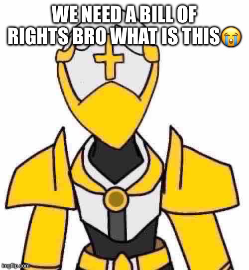 sad gabriel :( | WE NEED A BILL OF RIGHTS BRO WHAT IS THIS😭 | image tagged in sad gabriel | made w/ Imgflip meme maker