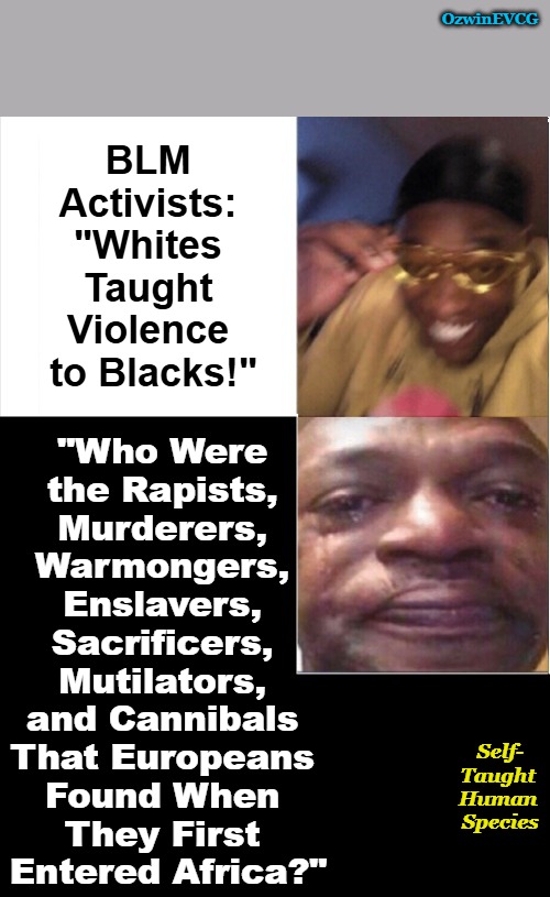 STHS NV | OzwinEVCG; BLM 

Activists: 

"Whites 

Taught 

Violence 

to Blacks!"; "Who Were 

the Rapists, 

Murderers, 

Warmongers, 

Enslavers, 

Sacrificers, 

Mutilators, 

and Cannibals 

That Europeans 

Found When 

They First 

Entered Africa?"; Self-

Taught 

Human 

Species | image tagged in political humor,black people,white people,human races,human species,watch your back around humans | made w/ Imgflip meme maker