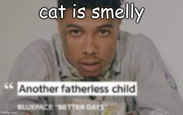 seeing if I get banned for this lol | cat is smelly | image tagged in another fatherless child | made w/ Imgflip meme maker
