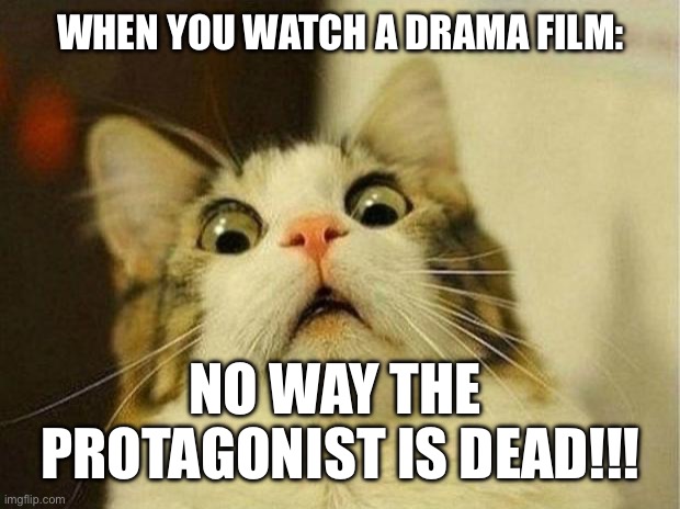 Scared Cat | WHEN YOU WATCH A DRAMA FILM:; NO WAY THE 
PROTAGONIST IS DEAD!!! | image tagged in memes,scared cat,cat,drama | made w/ Imgflip meme maker