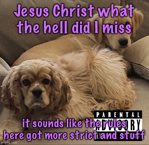 Gnocchi and Henry’s first studio album | Jesus Christ what the hell did I miss; it sounds like the rules here got more strict and stuff | image tagged in gnocchi and henry s first studio album,cinnabox announcement | made w/ Imgflip meme maker