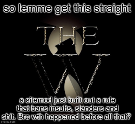 The W | so lemme get this straight; a sitemod just built out a rule that bans insults, slanders and shit. Bro wth happened before all that? | image tagged in the w | made w/ Imgflip meme maker