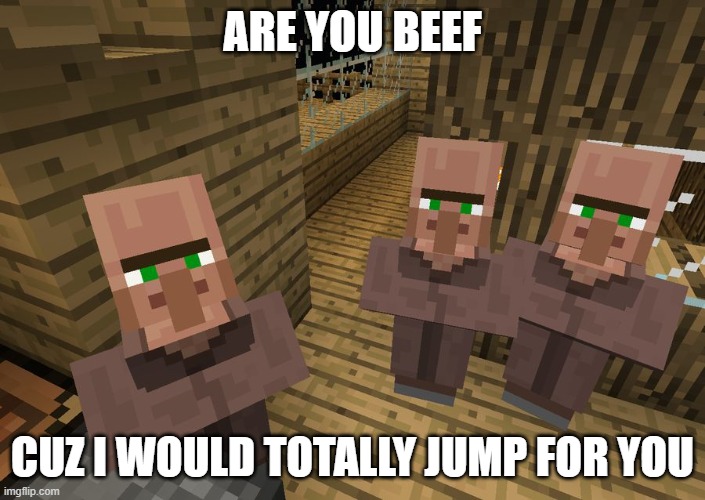 Minecraft Villagers | ARE YOU BEEF; CUZ I WOULD TOTALLY JUMP FOR YOU | image tagged in minecraft villagers | made w/ Imgflip meme maker