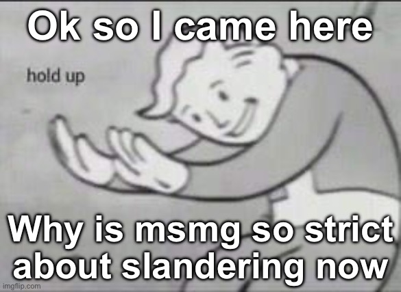 Hold up | Ok so I came here; Why is msmg so strict about slandering now | image tagged in fallout hold up | made w/ Imgflip meme maker