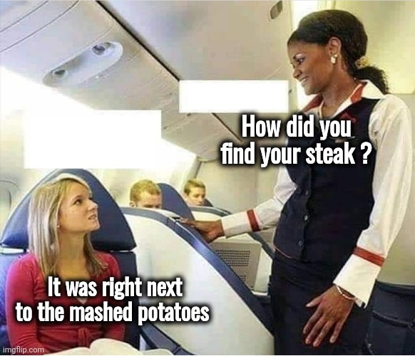 Flight attendant | How did you find your steak ? It was right next to the mashed potatoes | image tagged in flight attendant | made w/ Imgflip meme maker