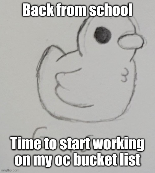 I can already see someone commenting "this... is a bucket" | Back from school; Time to start working on my oc bucket list | image tagged in gus the duck | made w/ Imgflip meme maker