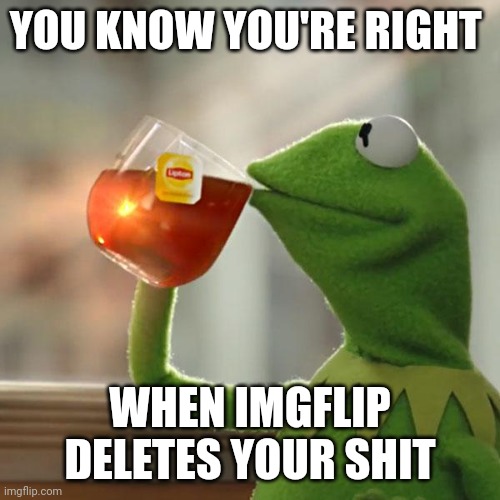 Who owns this website, I wonder... | YOU KNOW YOU'RE RIGHT; WHEN IMGFLIP DELETES YOUR SHIT | image tagged in memes,but that's none of my business,kermit the frog | made w/ Imgflip meme maker