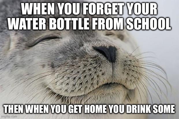 Ah, refreshing | WHEN YOU FORGET YOUR WATER BOTTLE FROM SCHOOL; THEN WHEN YOU GET HOME YOU DRINK SOME | image tagged in memes,satisfied seal | made w/ Imgflip meme maker