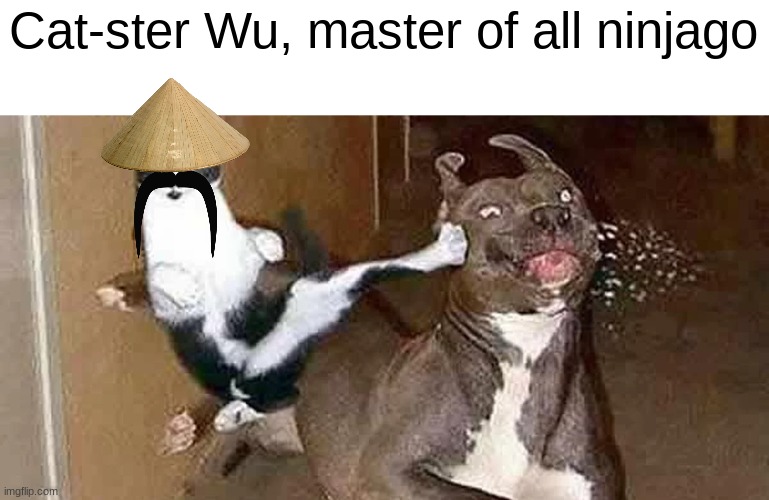 Cat-ster Wu, master of all ninjago | image tagged in master wu,ninjago,cats | made w/ Imgflip meme maker