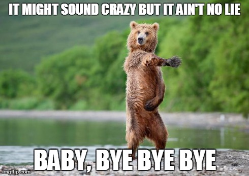 IT MIGHT SOUND CRAZY BUT IT AIN'T NO LIE BABY, BYE BYE BYE | image tagged in backstreet bear | made w/ Imgflip meme maker