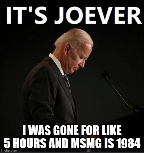 It's Joever | I WAS GONE FOR LIKE 5 HOURS AND MSMG IS 1984 | image tagged in it's joever | made w/ Imgflip meme maker