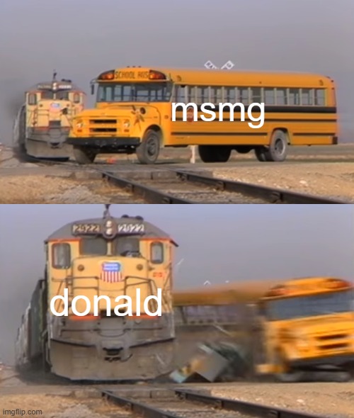 wack ass laws | msmg; donald | image tagged in a train hitting a school bus | made w/ Imgflip meme maker