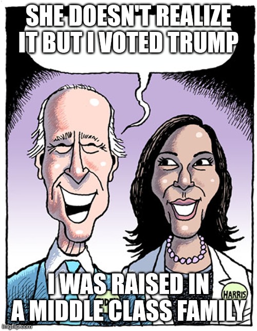 Biden Harris Blank Cartoon | SHE DOESN'T REALIZE IT BUT I VOTED TRUMP; I WAS RAISED IN A MIDDLE CLASS FAMILY | image tagged in biden harris blank cartoon | made w/ Imgflip meme maker