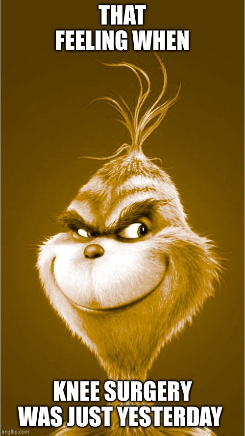 That feeling when knee surgery was yesterday | THAT FEELING WHEN; KNEE SURGERY WAS JUST YESTERDAY | image tagged in that feeling when knee surgery was yesterday | made w/ Imgflip meme maker