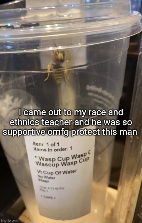 Wasp cup Wasp cup Wasp cup Wasp cup Wasp cup Wasp cup Wasp cup | I came out to my race and ethnics teacher and he was so supportive omfg protect this man | image tagged in wasp cup wasp cup wasp cup wasp cup wasp cup wasp cup wasp cup | made w/ Imgflip meme maker