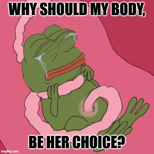 fetus pepe | WHY SHOULD MY BODY, BE HER CHOICE? | image tagged in fetus pepe | made w/ Imgflip meme maker