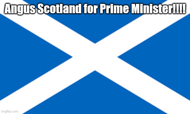 Angus Scotland supports John America btw | Angus Scotland for Prime Minister!!!! | image tagged in scottish flag | made w/ Imgflip meme maker
