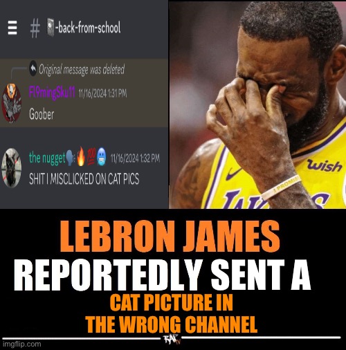 lebanon games | SENT A; CAT PICTURE IN THE WRONG CHANNEL | image tagged in lebron james reportedly | made w/ Imgflip meme maker