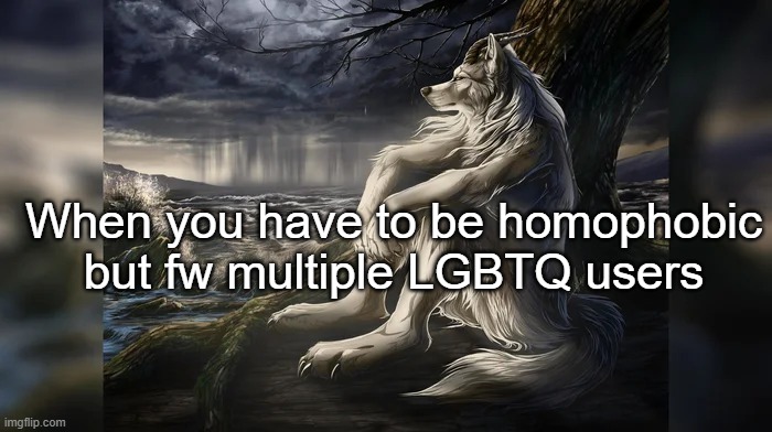 Sigma Wolf | When you have to be homophobic but fw multiple LGBTQ users | image tagged in sigma wolf | made w/ Imgflip meme maker