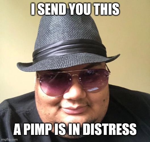 Isaac Guest | I SEND YOU THIS; A PIMP IS IN DISTRESS | image tagged in meme,funny | made w/ Imgflip meme maker