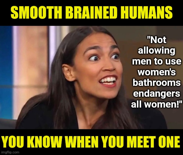 When your intelligence is less than your age, you really need to learn to keep your mouth shut. Yes, AOC said this recently! | SMOOTH BRAINED HUMANS; "Not allowing men to use women's bathrooms endangers all women!"; YOU KNOW WHEN YOU MEET ONE | image tagged in crazy aoc,liberal logic,stupid people,liberal hypocrisy,there's no brain here,democrat party | made w/ Imgflip meme maker