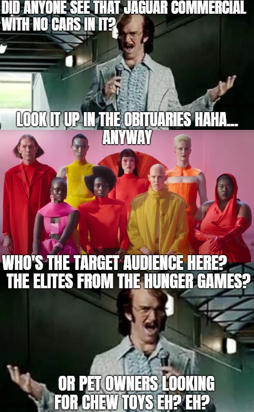 DID ANYONE SEE THAT JAGUAR COMMERCIAL 
WITH NO CARS IN IT? LOOK IT UP IN THE OBITUARIES HAHA...
ANYWAY; WHO'S THE TARGET AUDIENCE HERE? THE ELITES FROM THE HUNGER GAMES? OR PET OWNERS LOOKING FOR CHEW TOYS EH? EH? | image tagged in bad comedian eli manning,funny,comedy | made w/ Imgflip meme maker