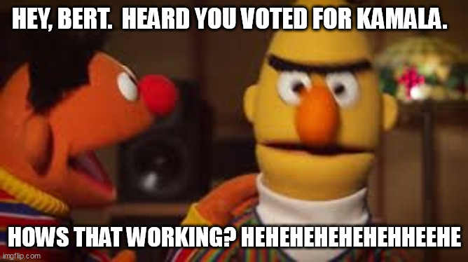 "Burn" and Ernie | HEY, BERT.  HEARD YOU VOTED FOR KAMALA. HOWS THAT WORKING? HEHEHEHEHEHEHHEEHE | image tagged in bert and ernie | made w/ Imgflip meme maker