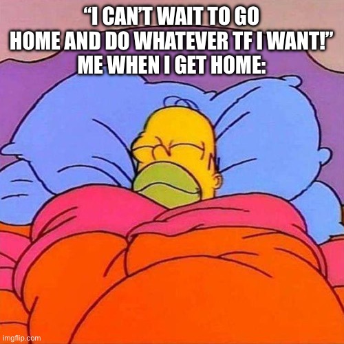 Anyone else just been more tired lately? | “I CAN’T WAIT TO GO HOME AND DO WHATEVER TF I WANT!”
ME WHEN I GET HOME: | image tagged in homer napping | made w/ Imgflip meme maker