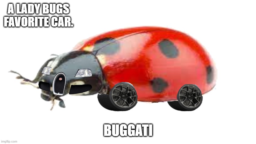 buggati | A LADY BUGS FAVORITE CAR. BUGGATI | image tagged in buggati | made w/ Imgflip meme maker