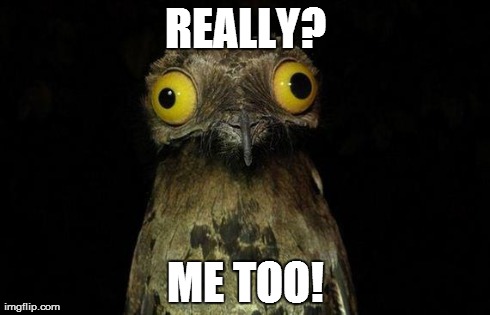Weird Stuff I Do Potoo Meme | REALLY? ME TOO! | image tagged in memes,weird stuff i do potoo | made w/ Imgflip meme maker