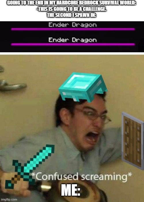 confused screaming | GOING TO THE END IN MY HARDCORE BEDROCK SURVIVAL WORLD:
-THIS IS GOING TO BE A CHALLENGE.
THE SECOND I SPAWN IN:; ME: | image tagged in confused screaming | made w/ Imgflip meme maker